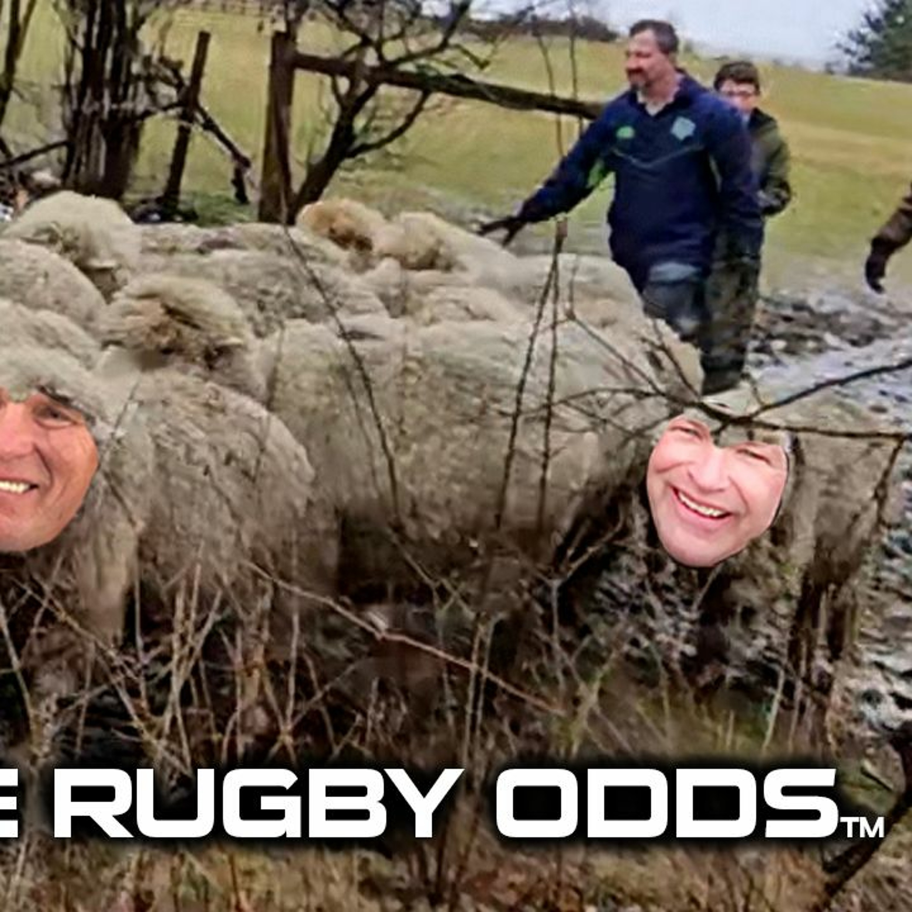 Rugby Wrap Up