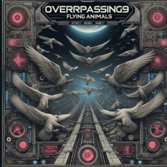 OVERPASSING9
