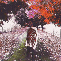 FallTime (prod. delucx)