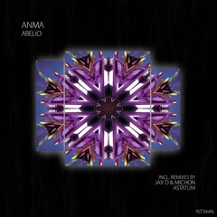 PREMIERE: ANMA – Aneto (Extended Mix) [ Polyptych Noir ]