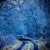 Artwork for Blue Ridge Blue Snow Blues