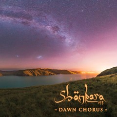 Shankara NZ - Weka (preview)