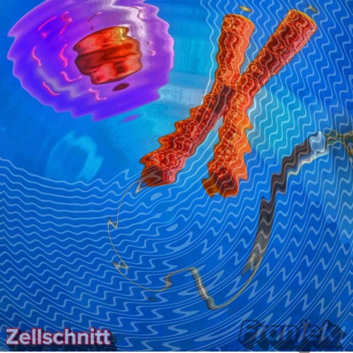 Zellschnitt