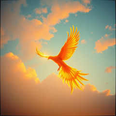 Phoenix Rising
