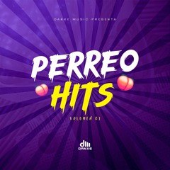 Mix Perreo Hits - DJ Danxe