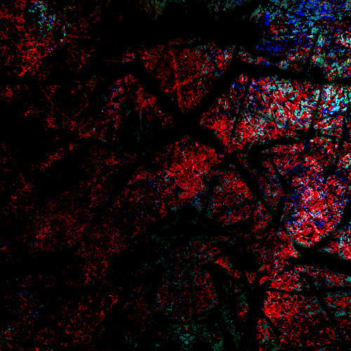 ⠂⎦⦃▓▓▓⨥⠂⍿⹃⋰⌍⸭▓⍿