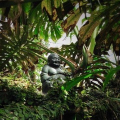 Summer Disco House mix