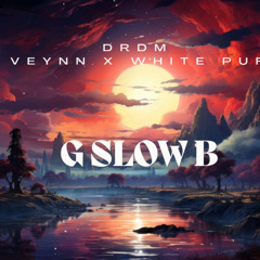 RYS BEATS - G slow B Ft Veynn x White Puff
