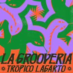 Trópico Lagarto - La Grooveria .wav