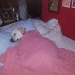 BED TIME