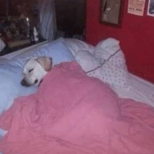 BED TIME