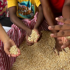 Seeds and Hope Remix at the 2022 Smithsonian Folklife Festival X Earth Optimism Festival