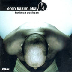 Turkuaz Patlıcan (feat. Sumru Ağıryürüyen)