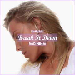 BAD NiNJA - Break It Down [ Car Music & G-House Music]