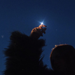 Flash