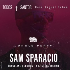 Part of the live set at the JUNGLE by Casa Jaguar Tulum, Mexico.