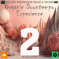 Organic Downtempo Experience 2 Deep Chill Ethno Afro Melodic Progressive House Techno Electronic DJ