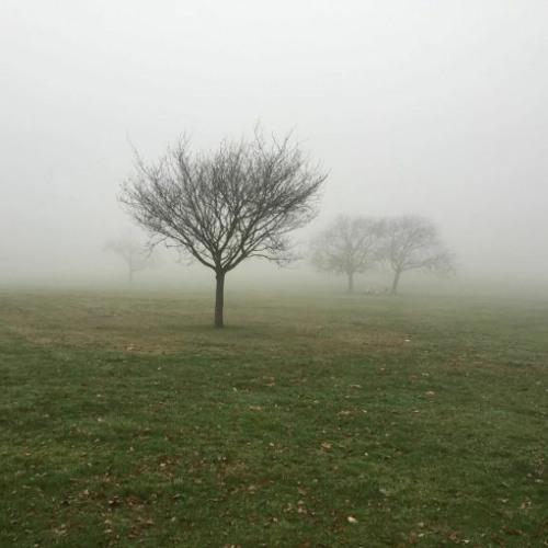Aromatonbandlabsade036 background sound FREE DOWNLOAD