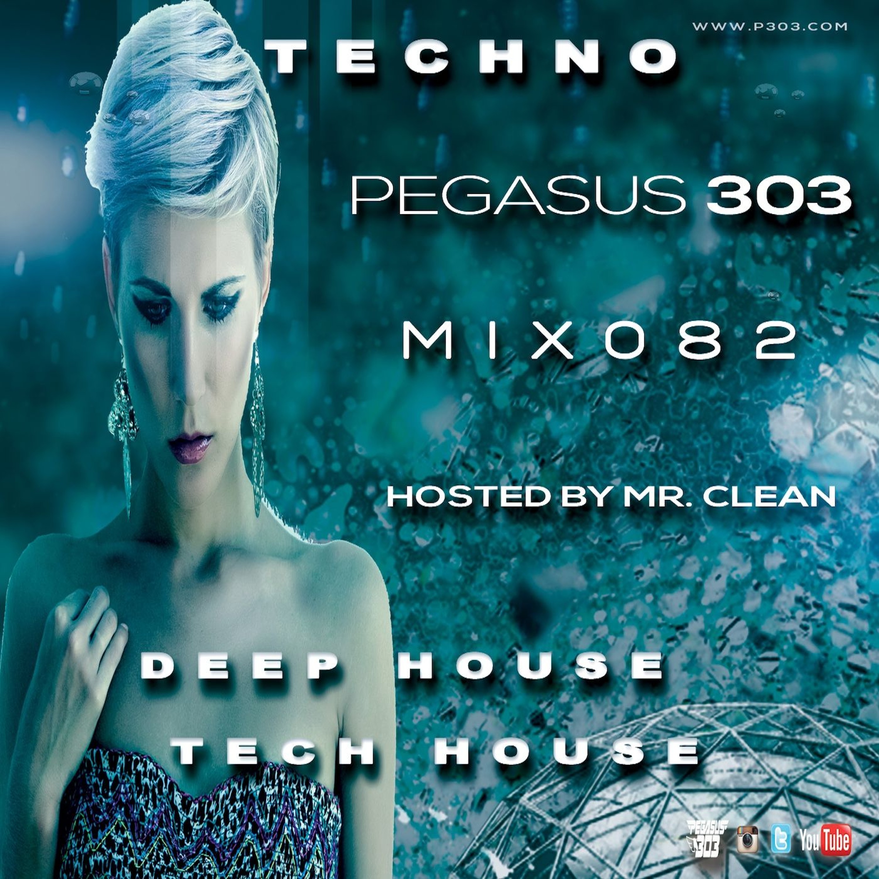 Pegasus 303 (mrclean)