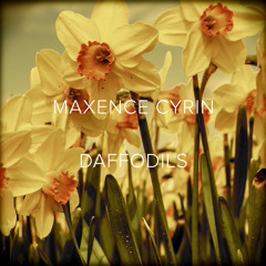 Daffodils