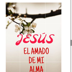 My King Will Soon Come Back Again-Hymn 960-🌹🎻🎶Muy Pronto Volverá Mi Rey-Himno 439 🌹🎻🎶