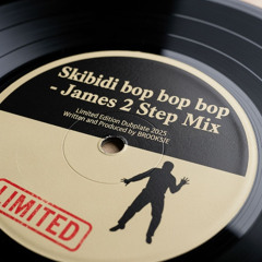 Skibidi bop bop bop  - James 2 Step Garage  Mix