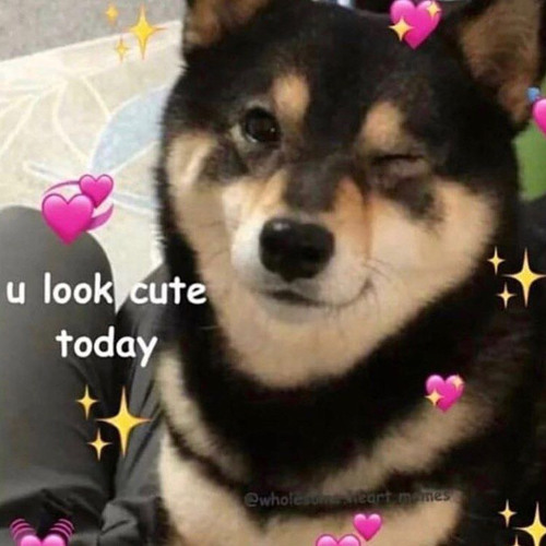 Fairy x Trollz  - mz_mashups