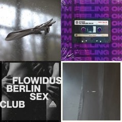 NEW DNB