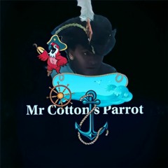 MR Cottons Parrot (What Did The Bird Say)
