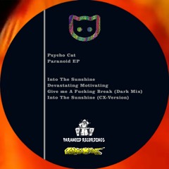 Psycho Cat - Into The Sunshine (CX - Version) (128kbps)