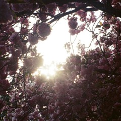 lore_105.88bpm-2_locked (lowrelief mix)