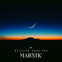 Buzzing Grounds - Majestic