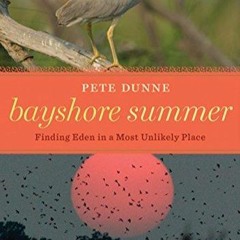⚡Ebook✔ Bayshore Summer: Finding Eden in a Most Unlikely Place