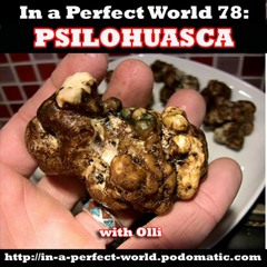 78. Psilohuasca