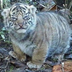 abugat - parmaktan sonra