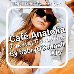 Cafe Anatolia XIV By SabryOConnell