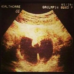 WU - TANG BABY
