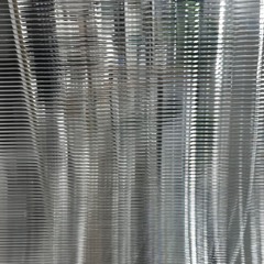 Paz Shina @ Champagne 12/10/24