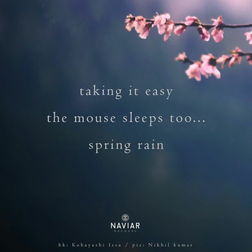 Spring Rain (NaviarHaiku530)
