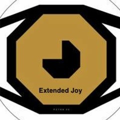 Frankie Goes To Hollywood : Extended Joy (Hibs Mix)