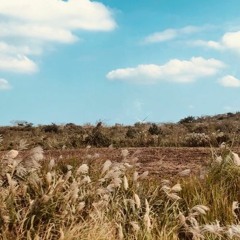 Once My BF, Now My GF (DEMO)