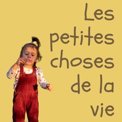 Les petites choses de la vie