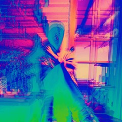 Disco graphy