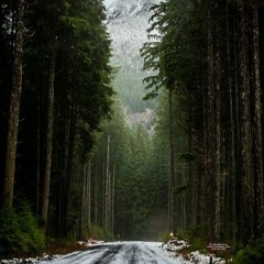 Богдан Пришляк - Прости Прощай