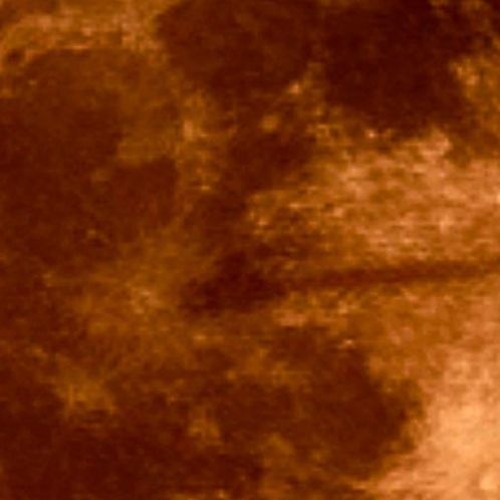 Nearly lost the lost ones