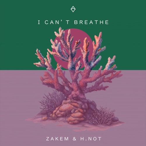 Zakem HNot - I Can't Breathe