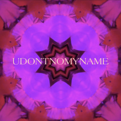 UDONTNOMYNAME