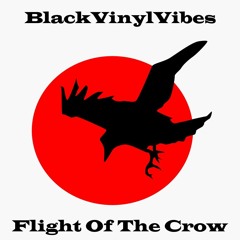 Flight Of The Crow (Original Mix)