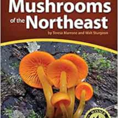 READ KINDLE 🖌️ Mushrooms of the Northeast: A Simple Guide to Common Mushrooms (Mushr