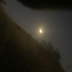 WarmForm (OG version)